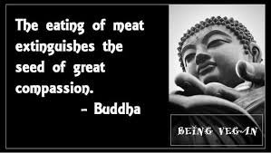 VanGzip65's tweet photo. 🎯
#BeVegan
#CompassionNotKilling https://t.co/V8prO2TMpA