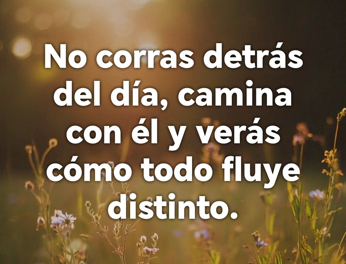 #BuenosDías ☕ 🫖 🧁 🤗
#FelizLunes 🤩 🍓 💗 #DespiertoyAgradezco 🙌🏼 ✨ #InicioDeSemana 🦋 ✨ 🌿
