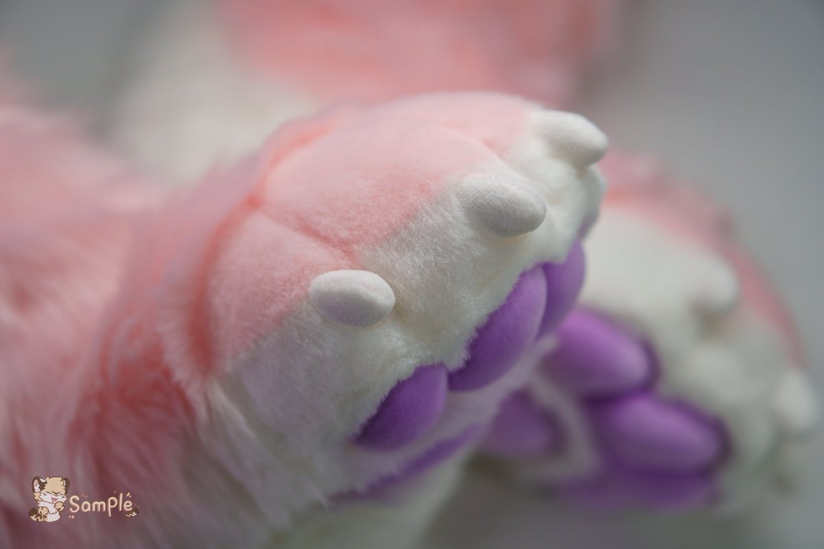 Halculus2's tweet image. 爪袜🐾🐾🐾 +1