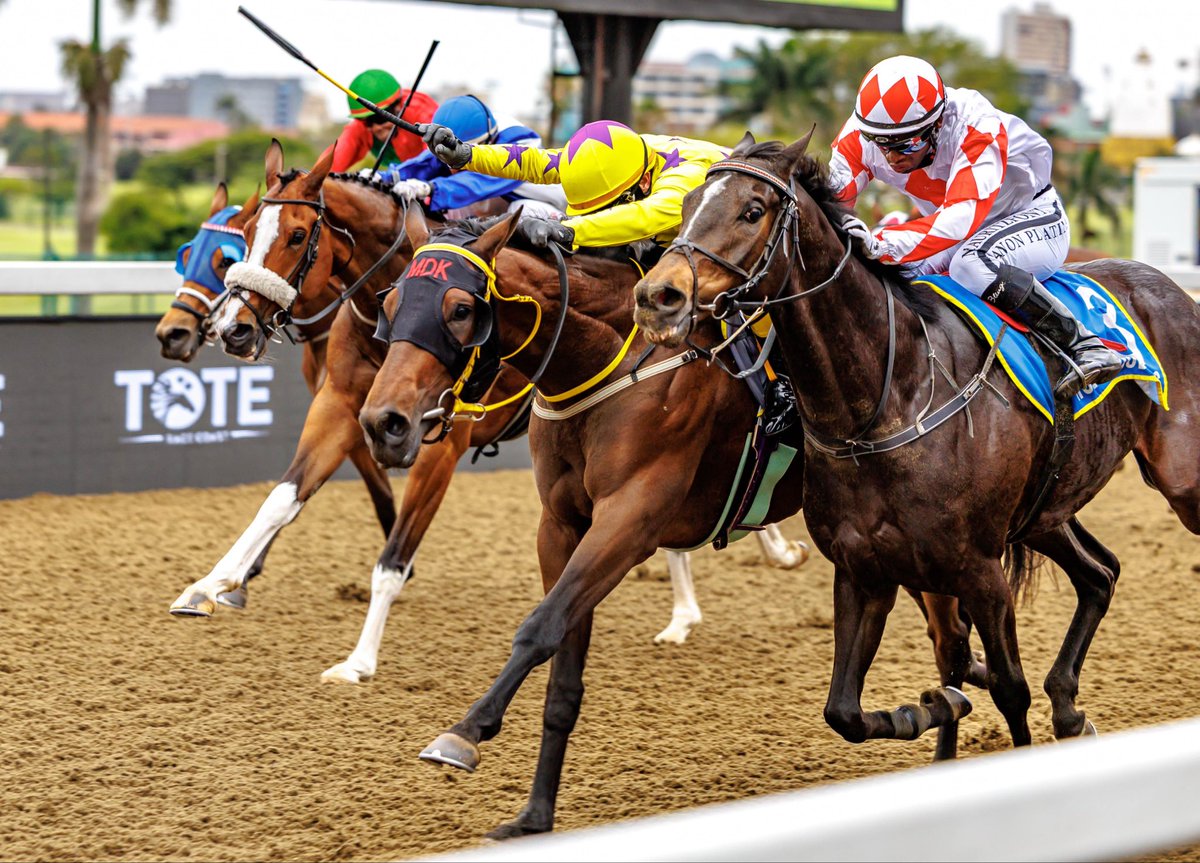 Di de Kock tweet media