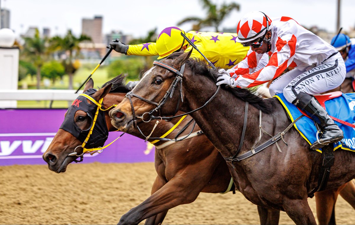 Di de Kock tweet media