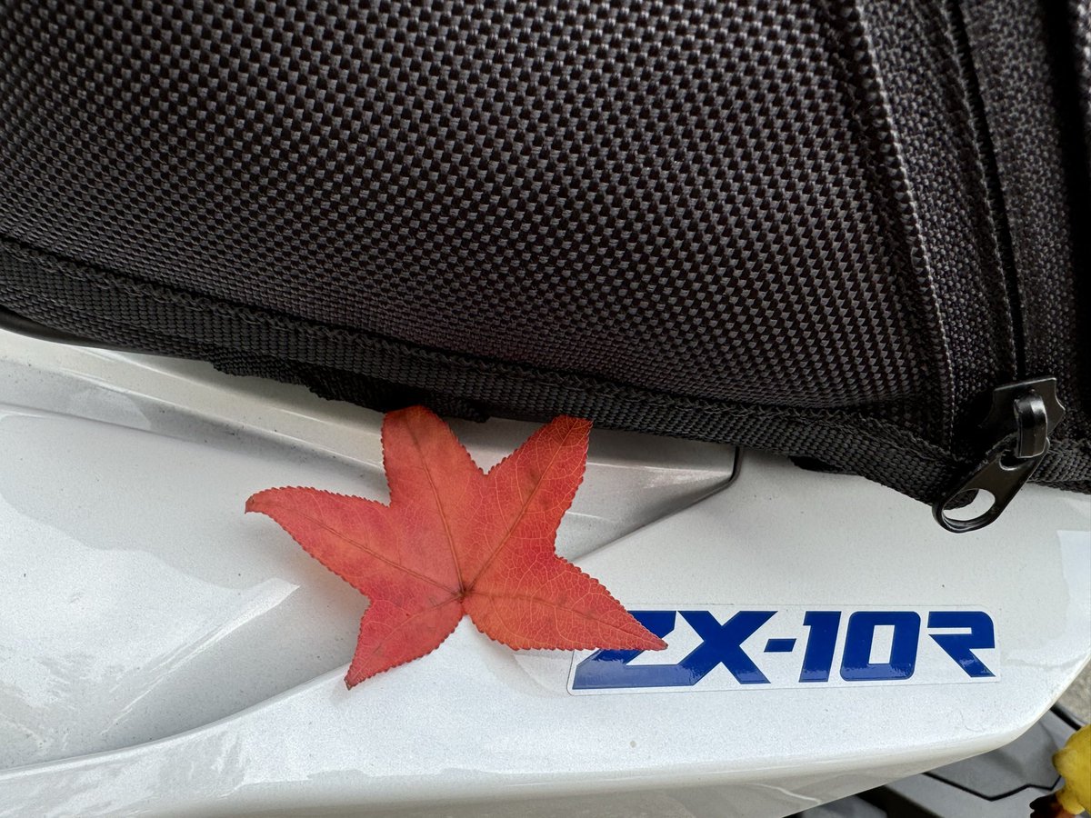 なーちゃん ① NIKE AIR FORCE 1 MID (GS) WHITE 