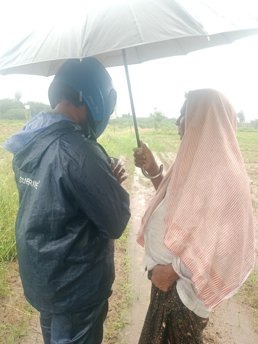 KrishNAlamotu's tweet photo. Andhrapradesh village agriculture officer, vijay RBK Maddulur village doing ecrop in rainy day.doing Great Job @prakasamDistOfc 
@naralokesh ,@ncbn ,@PawanKalyan https://t.co/SQyUkdiPKS
