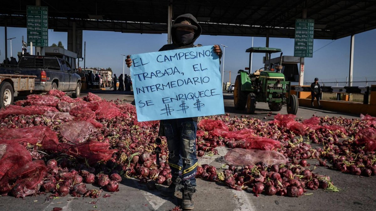 ruletarusa_mx's tweet image. México vive hoy un nuevo #ParoNacional de #campesinos, con diversos #bloqueos carreteros, en protesta por los bajos precios del maíz, trigo y sorgo, y la inseguridad que sigue cobrando vidas por la narcoviolencia impune.