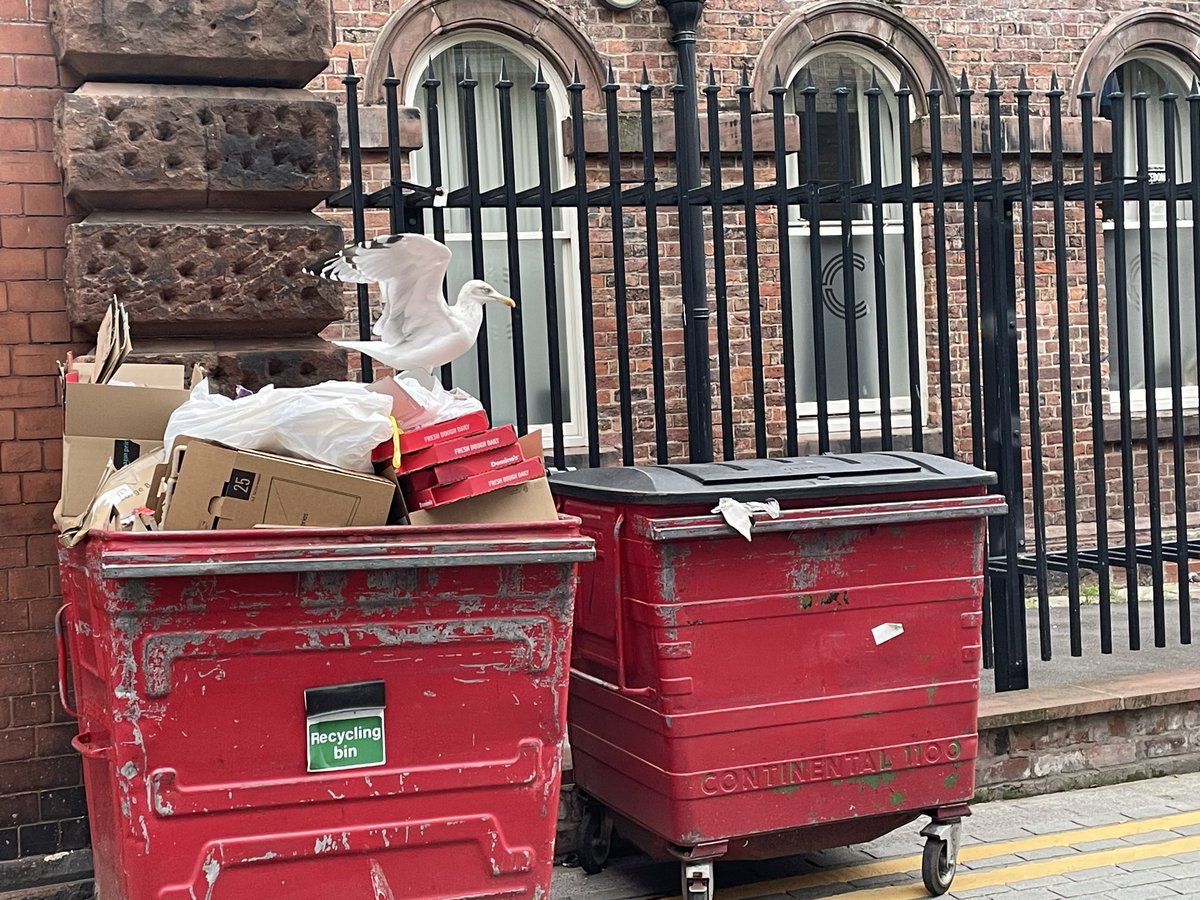 Deborah Sacks tweet media