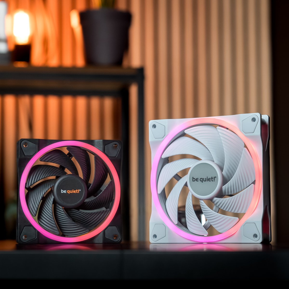 bequietofficial's tweet photo. ✨ Mondays can be tough, so here’s something to make your day a little brighter: our Light Wings in all their beauty!
How many Light Wings are spinning in your setup? 👇
#bequiet #LightWings #ARGB #PCbuild #GamingSetup #CustomPC #SilentPerformance #PCCooling #PCmodding https://t.co/odKjuPZgZh