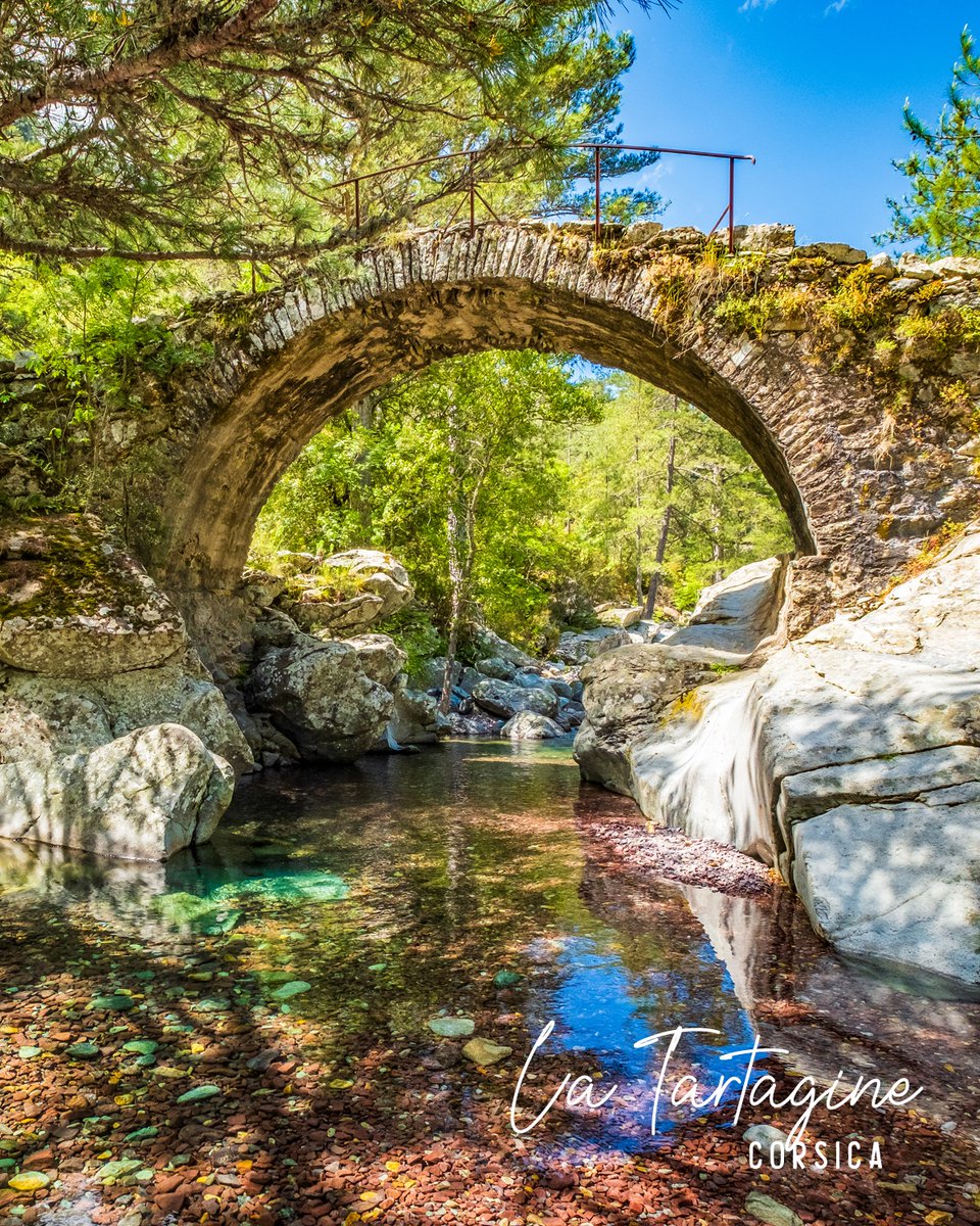 Ce lundi, 𝗭𝗶𝗹𝗶𝗮 vous emmène du côté de 𝐥𝐚 𝐫𝐢𝐯𝐢𝐞̀𝐫𝐞 𝐝𝐞 𝐓𝐚𝐫𝐭𝐚𝐠𝐢𝐧𝐞. À mi-chemin entre Bastia et Corte, elle vous dévoile ses secrets entre forêts luxuriantes, vasques translucides et roches escarpées. 😍 
Avè una bella settimana à tutti !💪🍀 #Zilia