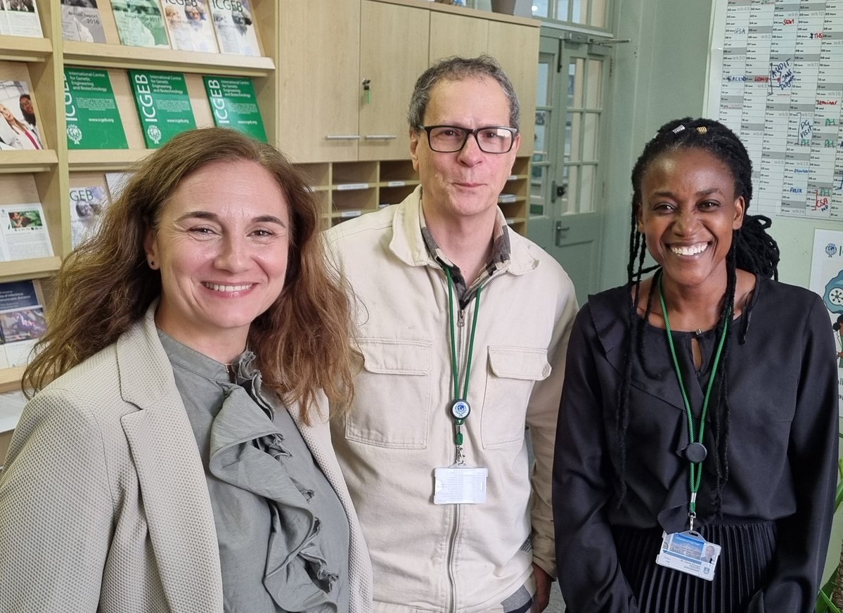 ICGEBCapeTown's tweet image. It is an absolute pleasure to welcome Natasa Skoko from our Biotech Development Unit at @ICGEB  Trieste to Cape Town. The #ICGEB team working together for #sciencefordevelopment