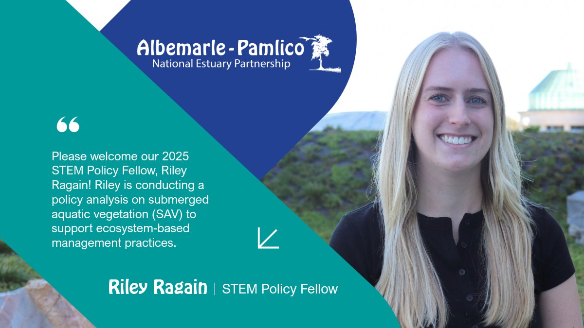 Albemarle-Pamlico NEP tweet media