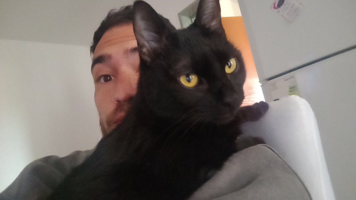 LeandroAlviso's tweet image. #Lunes #Nubbe