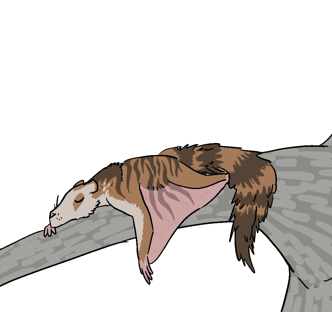 das_grim's tweet photo. Feihu
#Cryptober #Cryptoctober #Cryptid https://t.co/LCswfQVF7N