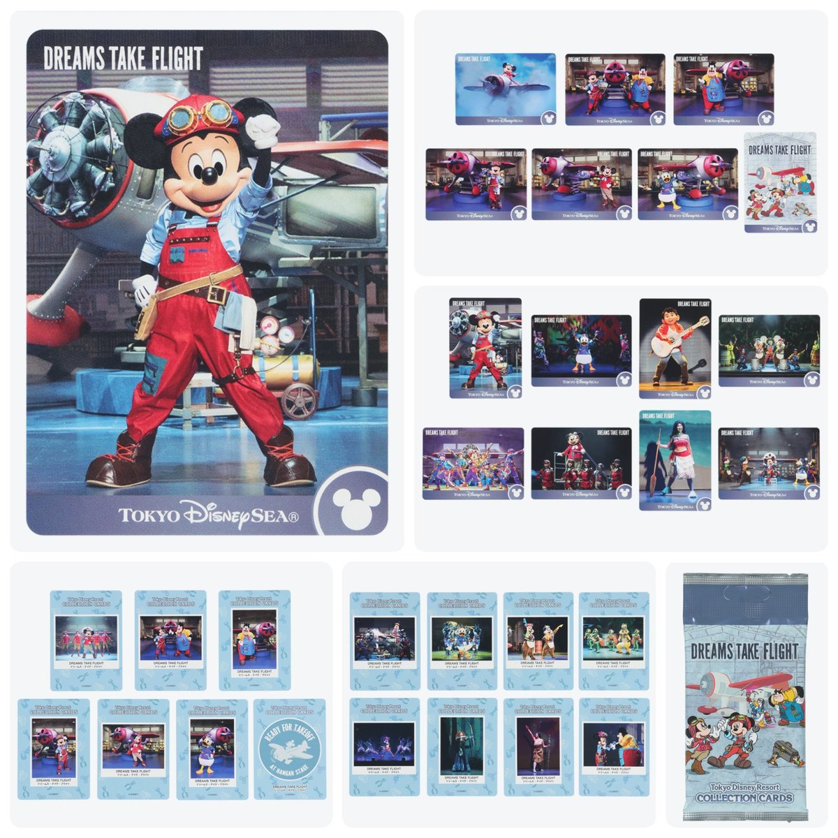 ━━━━━━━━━━━━ #東京ディズニーシー 「コレクションカード