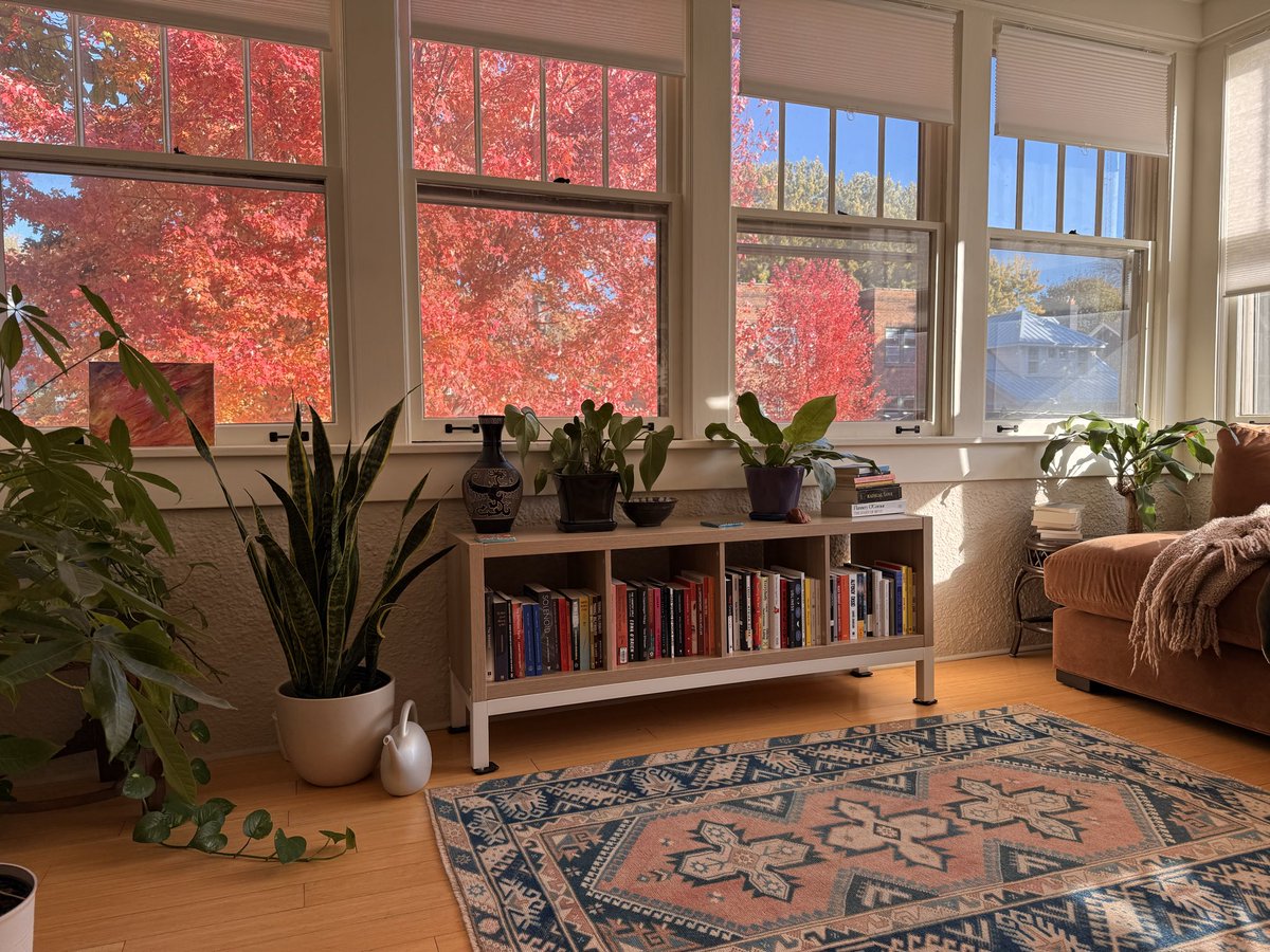 sharkrado's tweet image. I love this room in the fall