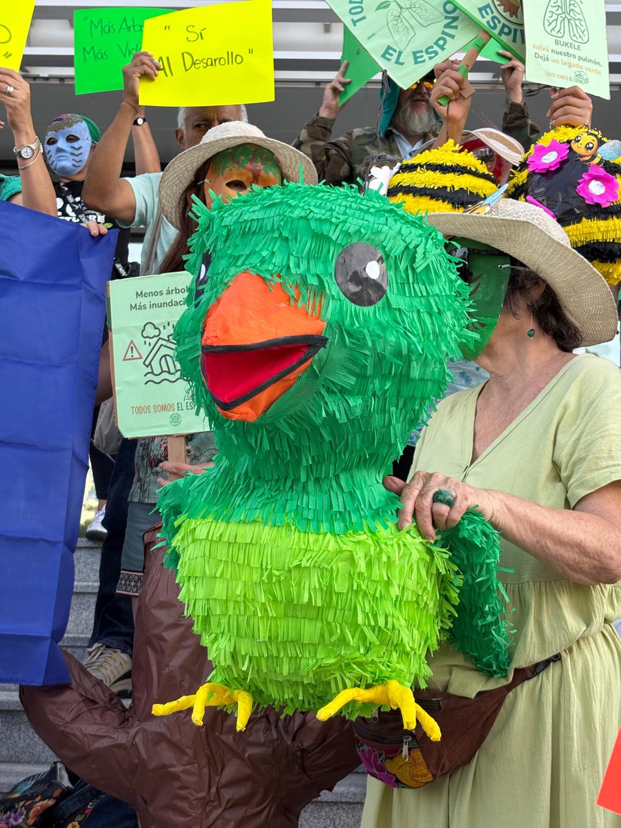 #MedioAmbiente| Este domingo 26, ciudadanos se concentraron frente a la BINAES para manifestarse en contra de la construcción del nuevo CIFCO en la finca El Espino. Aclararon que no se oponen al proyecto, pero sí a que se realice en el bosque por su impacto ambiental.