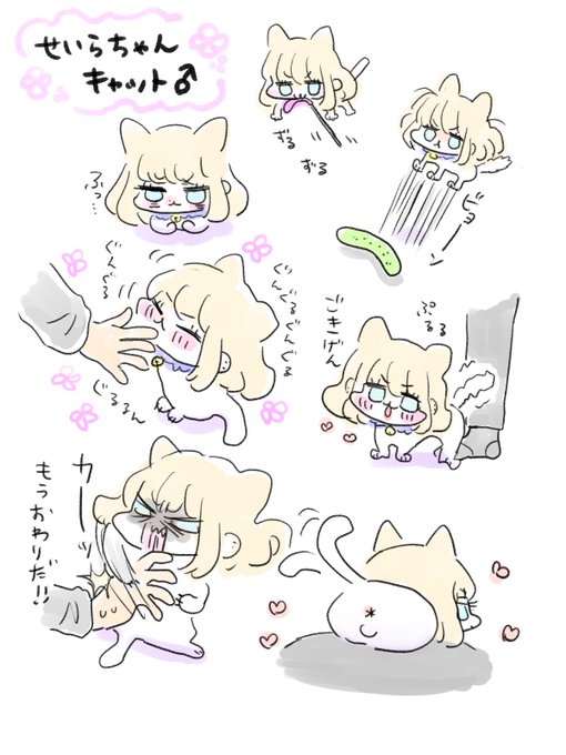 せいらちゃんキャット♂ 