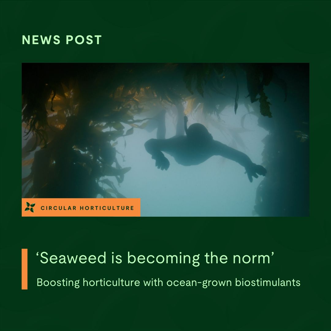 GreenTechRAI's tweet image. “We are convinced that seaweed is becoming the norm. More growers are moving away from traditional chemical agents and opting for natural solutions” Anouk Bosman (Kelp Blue) says.

👉Read the full article here: greentech.nl/news/seaweed-i…