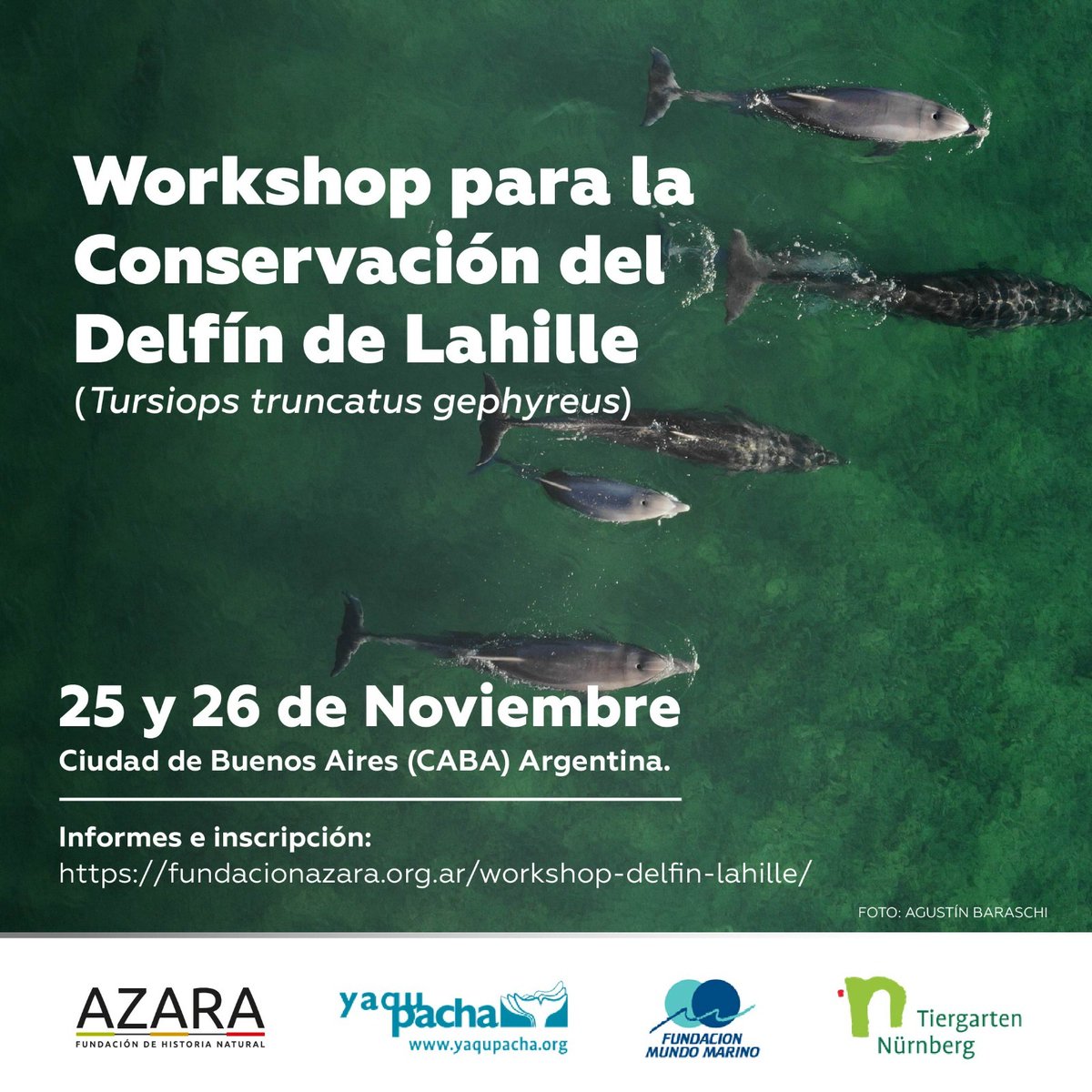 Salvar al delfín de Lahille: la UNCo se suma al llamado internacional por su conservación - uncoma.edu.ar/evento/salvar-…