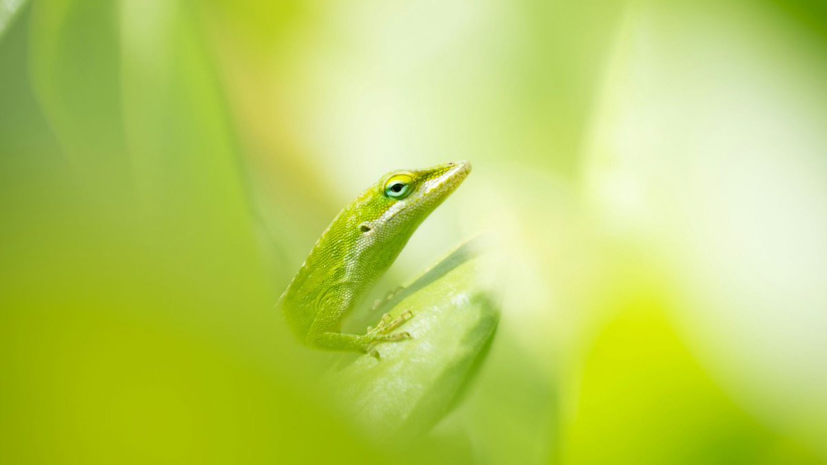 CTS_Chi's tweet image. Markets climbed last week on strong bank earnings—even with renewed China trade tensions. But one regional bank’s $50M loss sparked flashbacks to 2023. Is this a blip or a warning sign? Read this week’s update bit.ly/3xkFle1 #MarketUpdate #BankingNews #CTSFinancialGroup