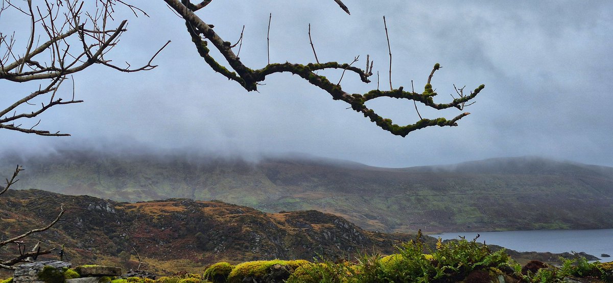 return to where the wild things are