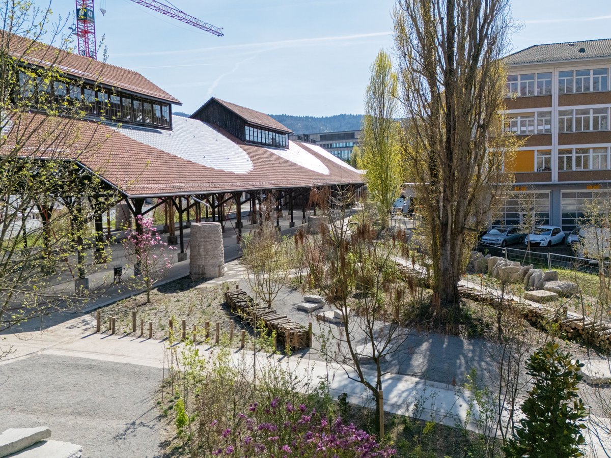 Grün, wild und ein Dach über dem Kopf: der Zürcher Koch-Park als neues Beispiel in der Datenbank 2050. Solche Beispiele zeigen auf, wie unsere neue Verbandsstrategie Plus Zürich 2050 in die Praxis umgesetzt werden kann. Mehr dazu: rzu.ch/news-publikati…