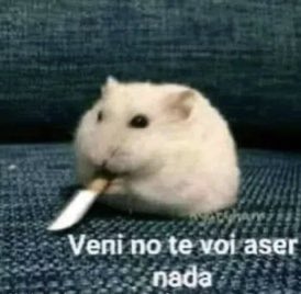 Majo 🍄 tweet media