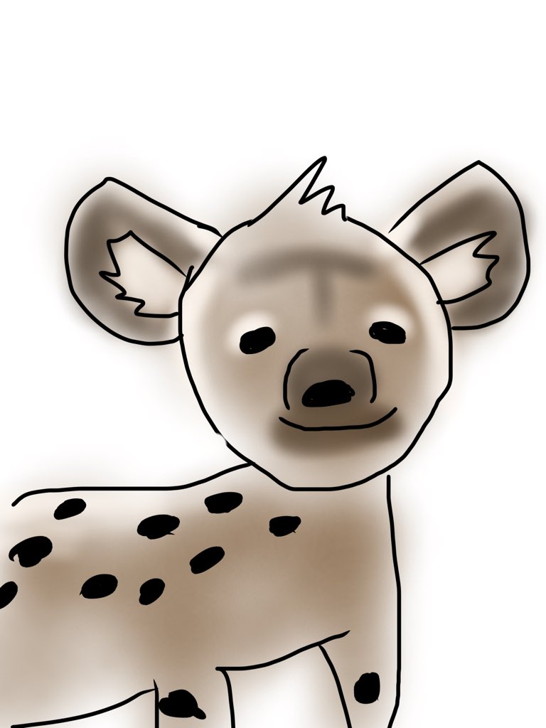 4日目
3日目はヌー