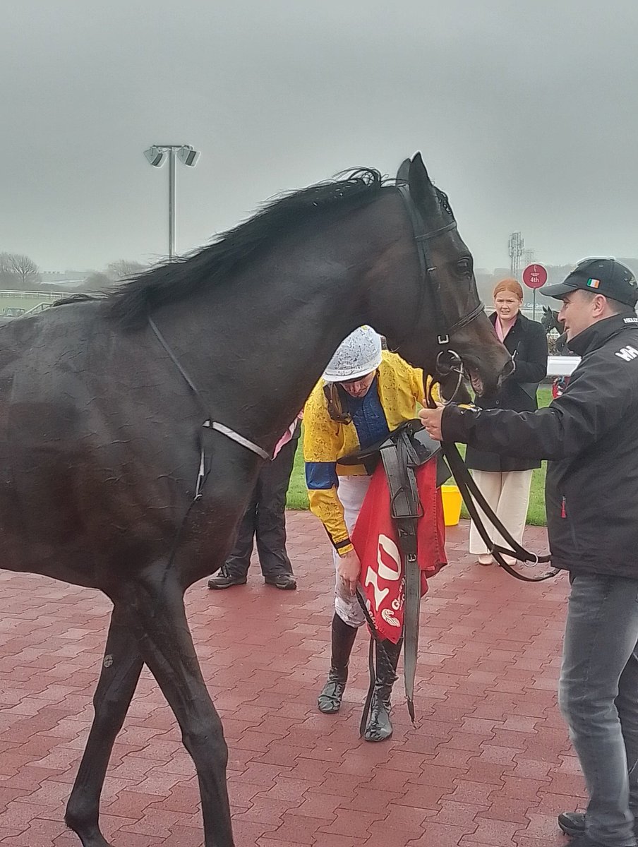 JoeSeward1's tweet image. Never Loose makes a very impressive debut for @fozzystack here at @Galway_Races on a wet and windy Bank holiday Monday here.
The daughter of No Nay Never sluiced up by four lengths under 
@joeysheridan8
£50,000 Breeze Up Purchase - well related to four winners
#Galway