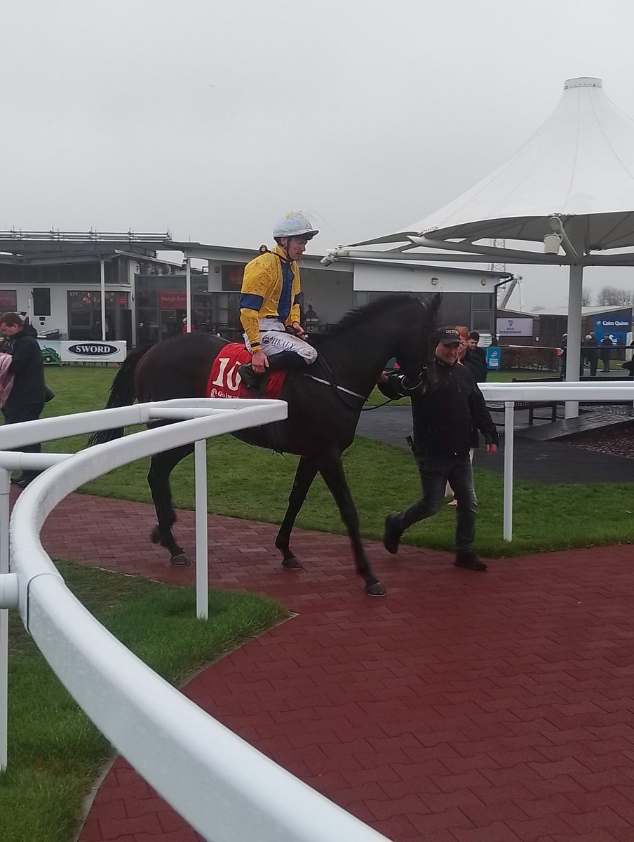 JoeSeward1's tweet image. Never Loose makes a very impressive debut for @fozzystack here at @Galway_Races on a wet and windy Bank holiday Monday here.
The daughter of No Nay Never sluiced up by four lengths under 
@joeysheridan8
£50,000 Breeze Up Purchase - well related to four winners
#Galway
