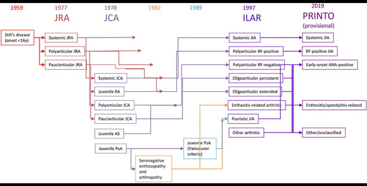 Erin Tree, DO tweet media