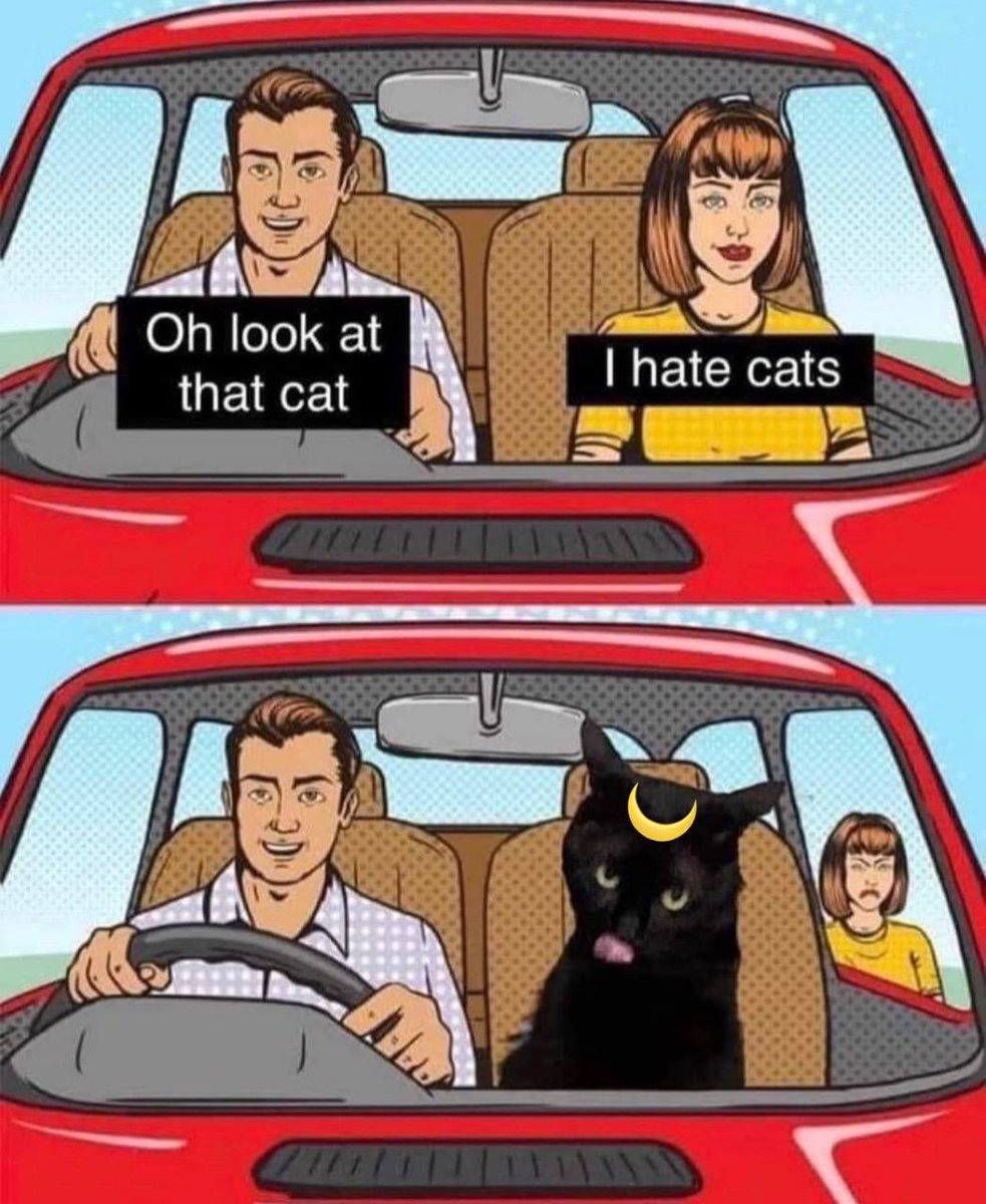 TSUKI 🐈‍⬛⌛️