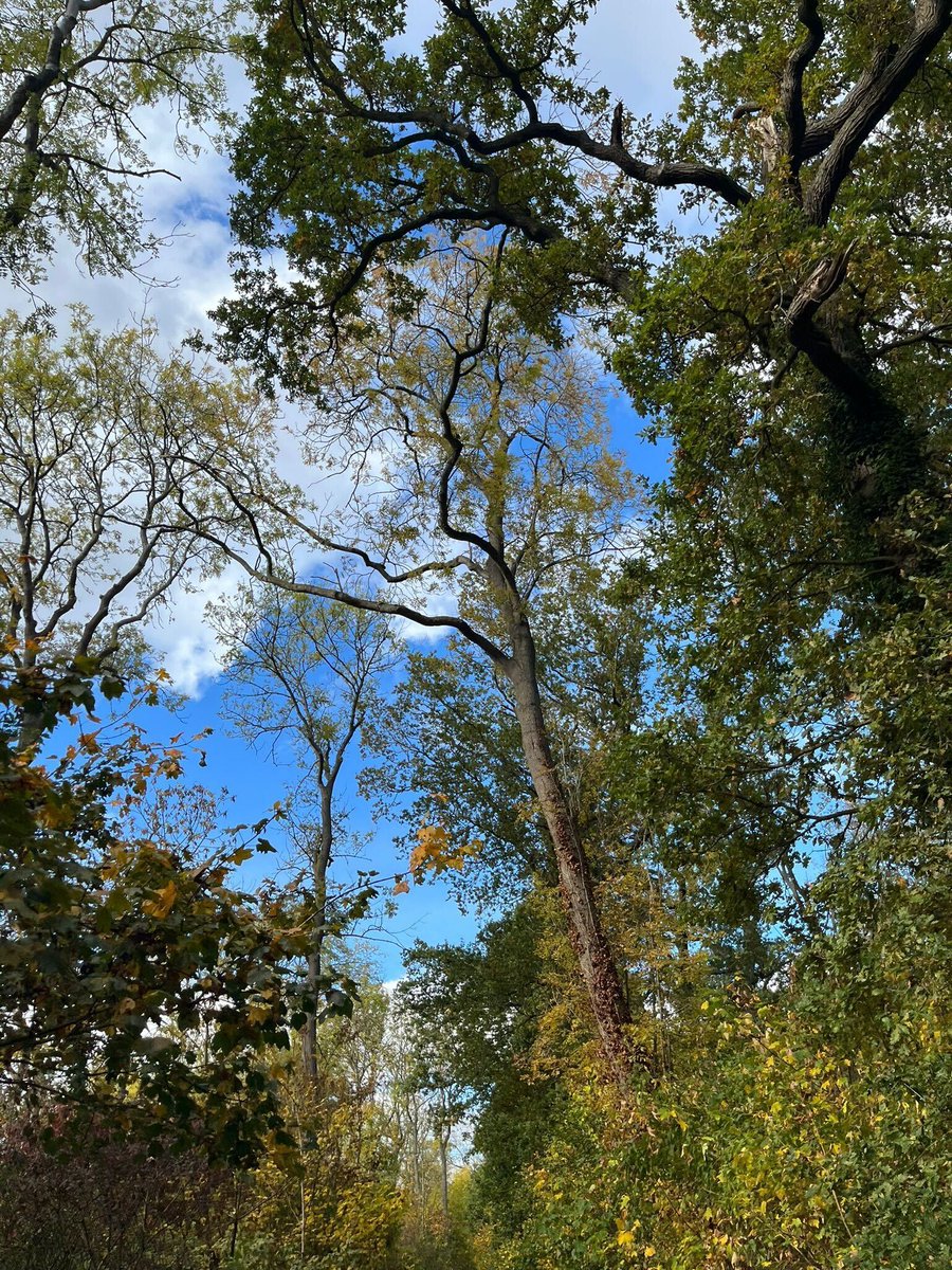 This October, some of our team took time to step away from their desks for a mental health walk and a chance to enjoy the greenery around our office and connect with one another.

It was a simple reminder of the power of fresh air, good company, and taking a moment to pause🍂