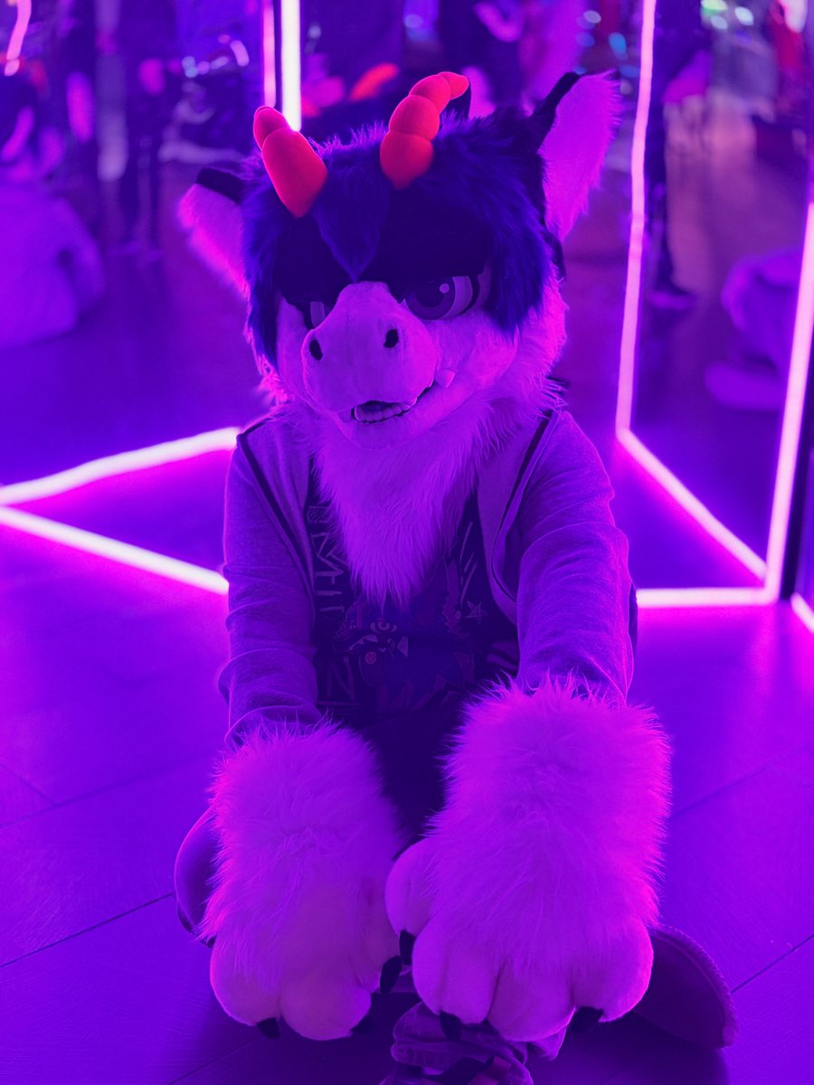 Lian Derg 🍃 Pawstral 26' 🇨🇱 tweet media