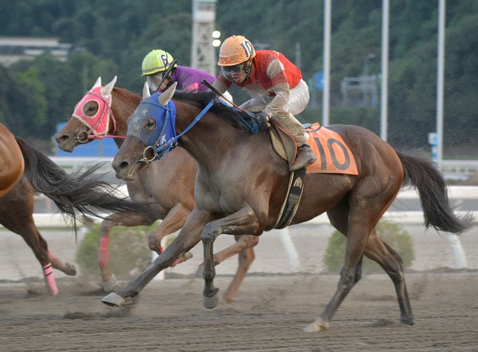 キリン (@tttt0145) / Posts / X