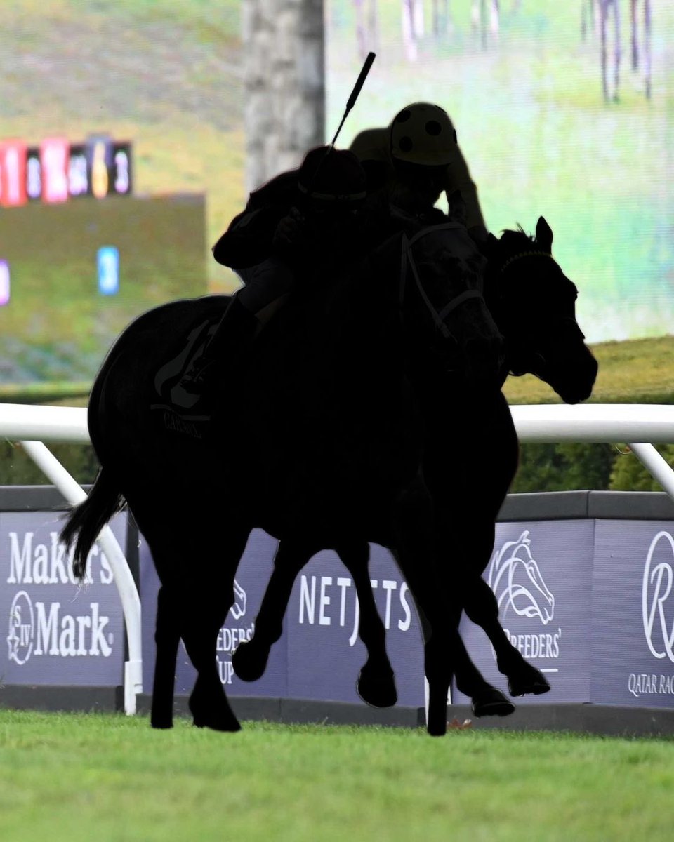 Qatar Racing tweet media