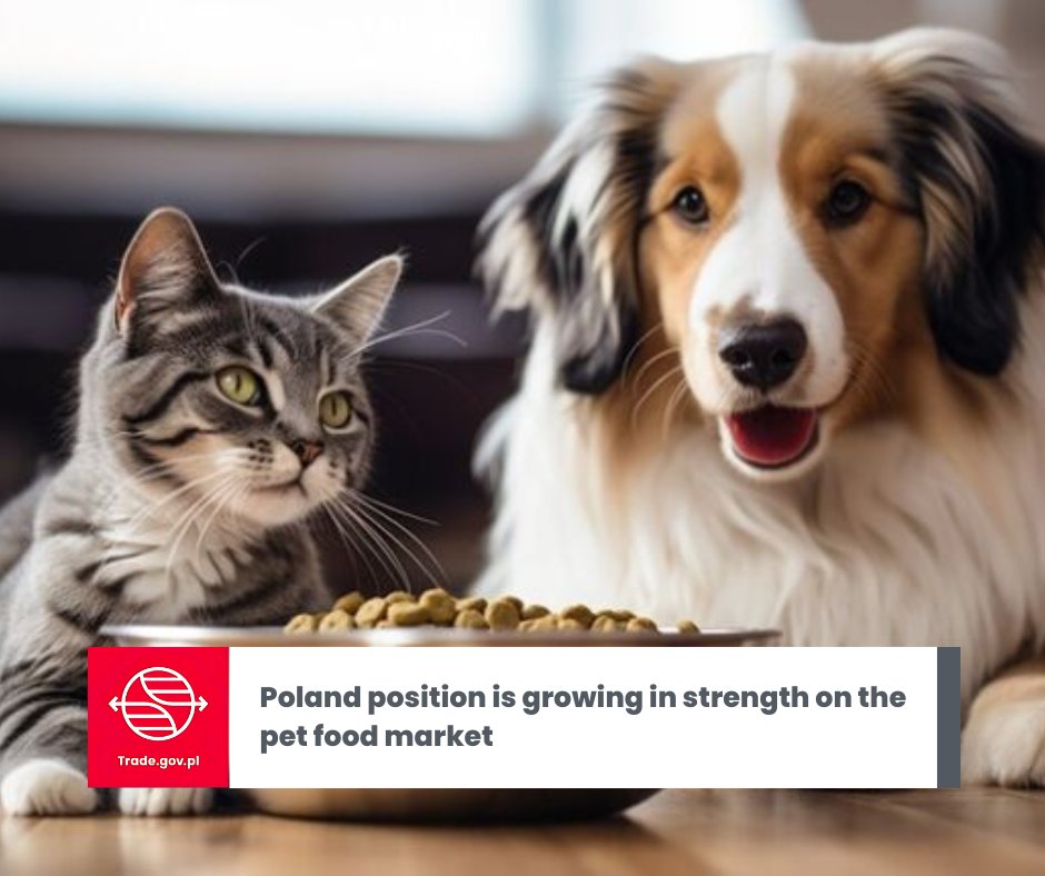 🐾The Polish #petfood market is one of the fastest growing in the #EU today. The value of sales counted in billions of zlotys, dynamically growing production and the growing importance of #exports make Poland one of the #EuropeanUnion and global leaders in this sector.

Read