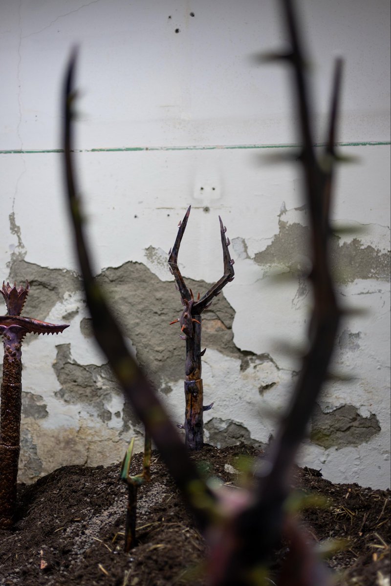 LIMITROFI tweet media