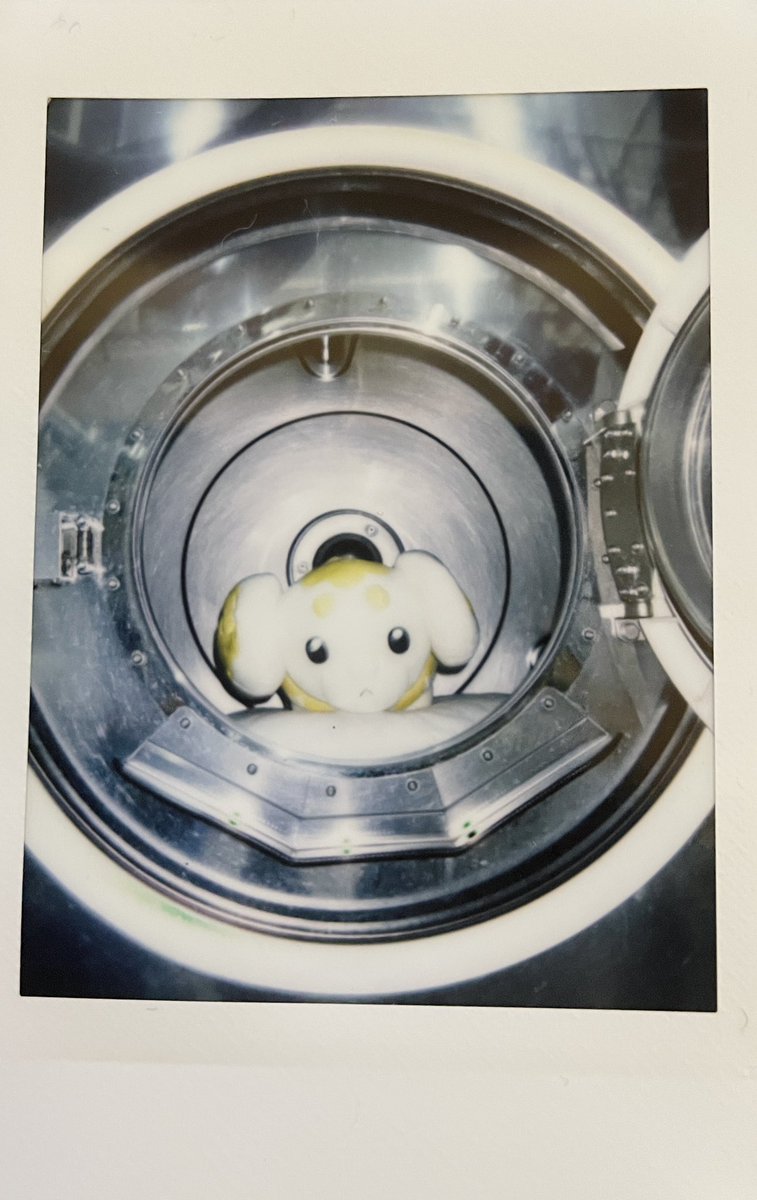 RPマジかと思って確認したらうちにもいた洗濯機の中にいるパピモッチ……………洗われる前でちょっと悲しそうに見えるうちのパピモッチ………………真っ白もちもちになって帰ってきて最高だった