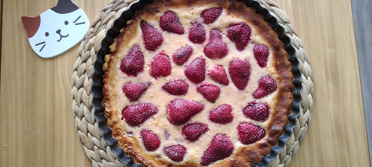 traviejita_'s tweet image. Homosexuales: TRAVIEJITA TE VAMOS A DOXXEAR, VAMOS A IR A TU CASA Y TE VAMOS A MATAR. ESTAS RODEADO Y NO TIENES ESCAPATORIA 😡😡😡😡
Yo: Cachen cabros hice un kuchen sureño con harina de avena ☺️