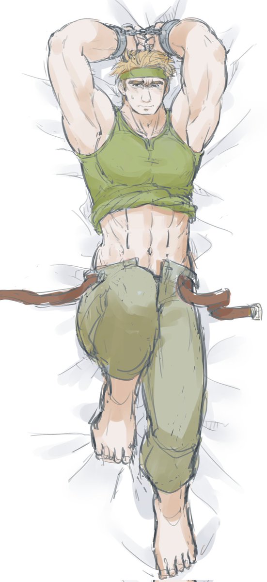 抱き枕カバー風ロットさん