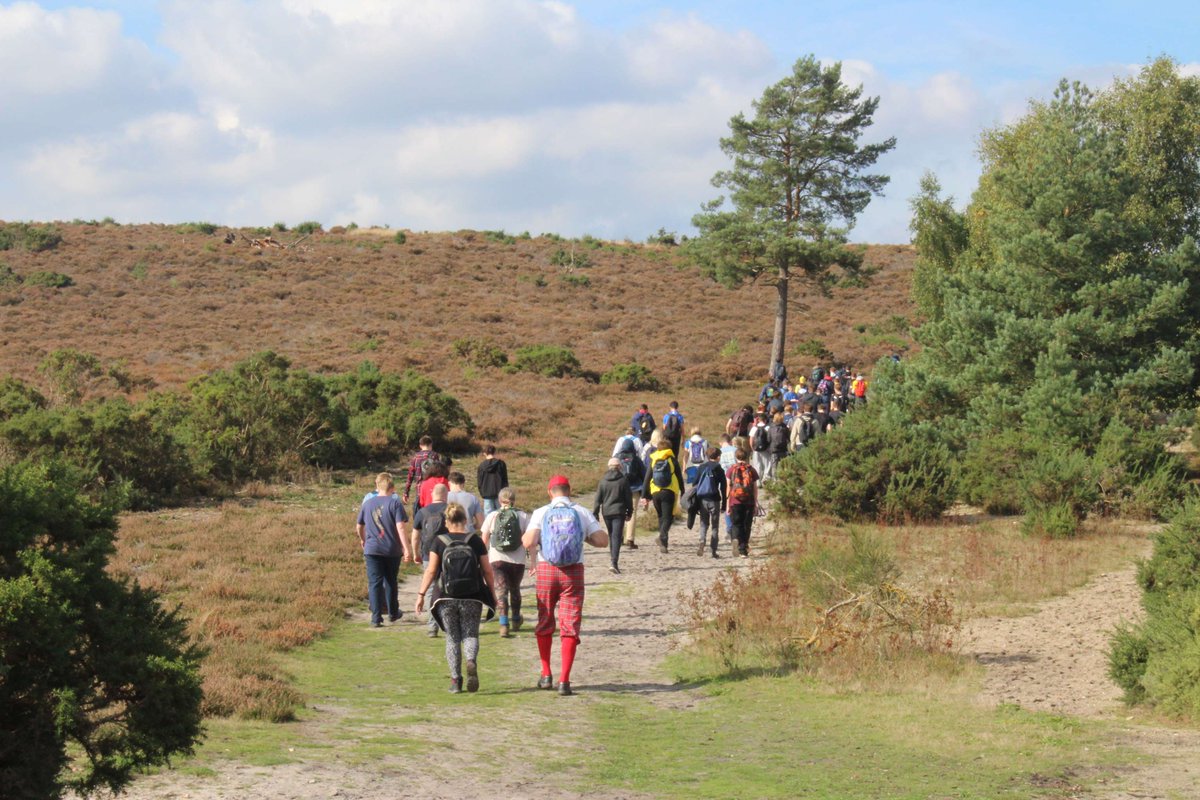 The BSA Guide tweet media