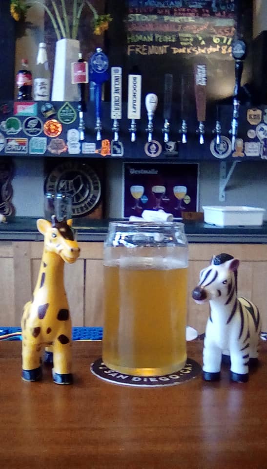 Yesterday's Beer 3 - Human People "More Than This" IPA, a the Last Drop Bottle Shop