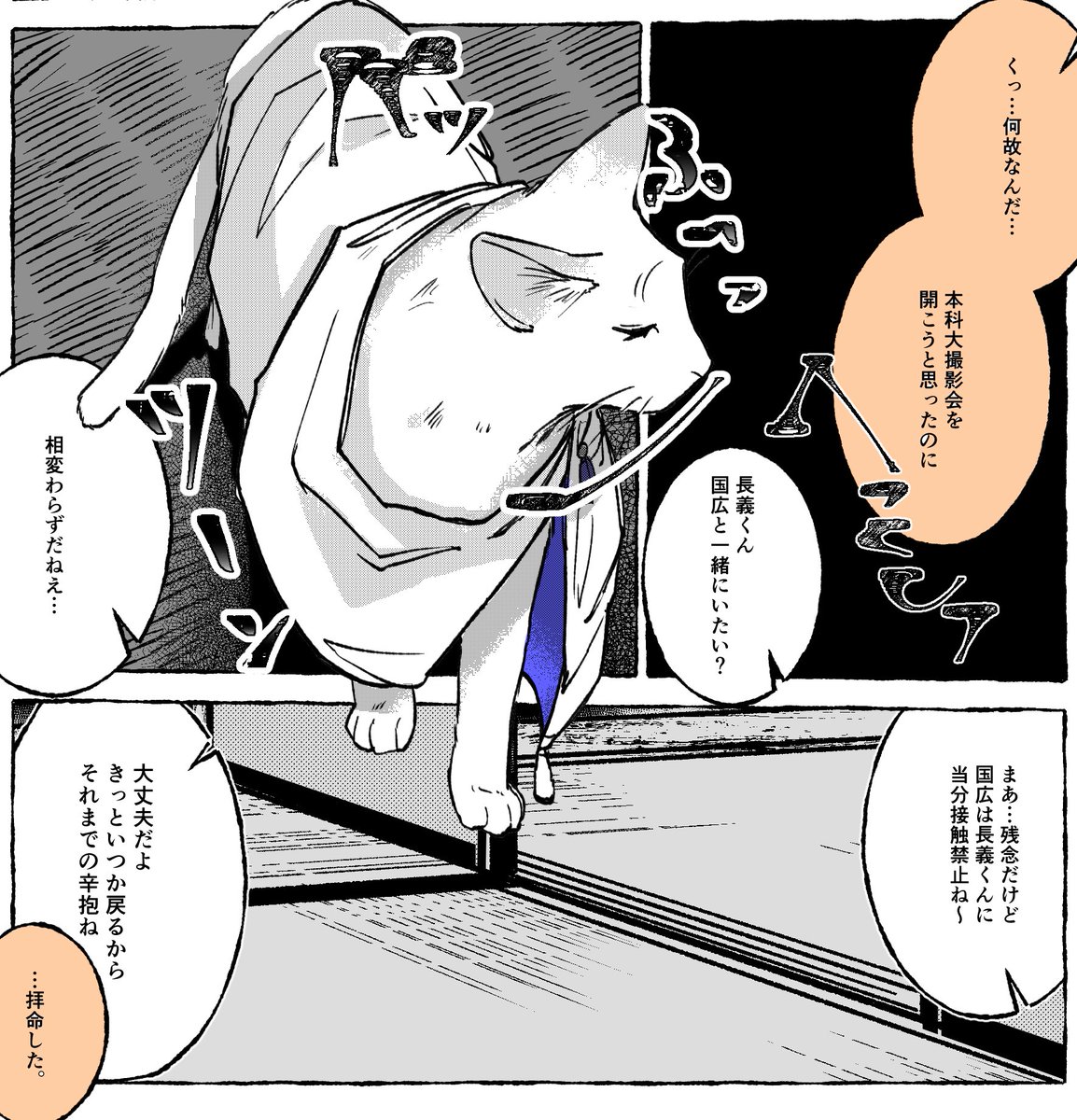 茶白です(*´꒳`*) ねこ🐱さん on X