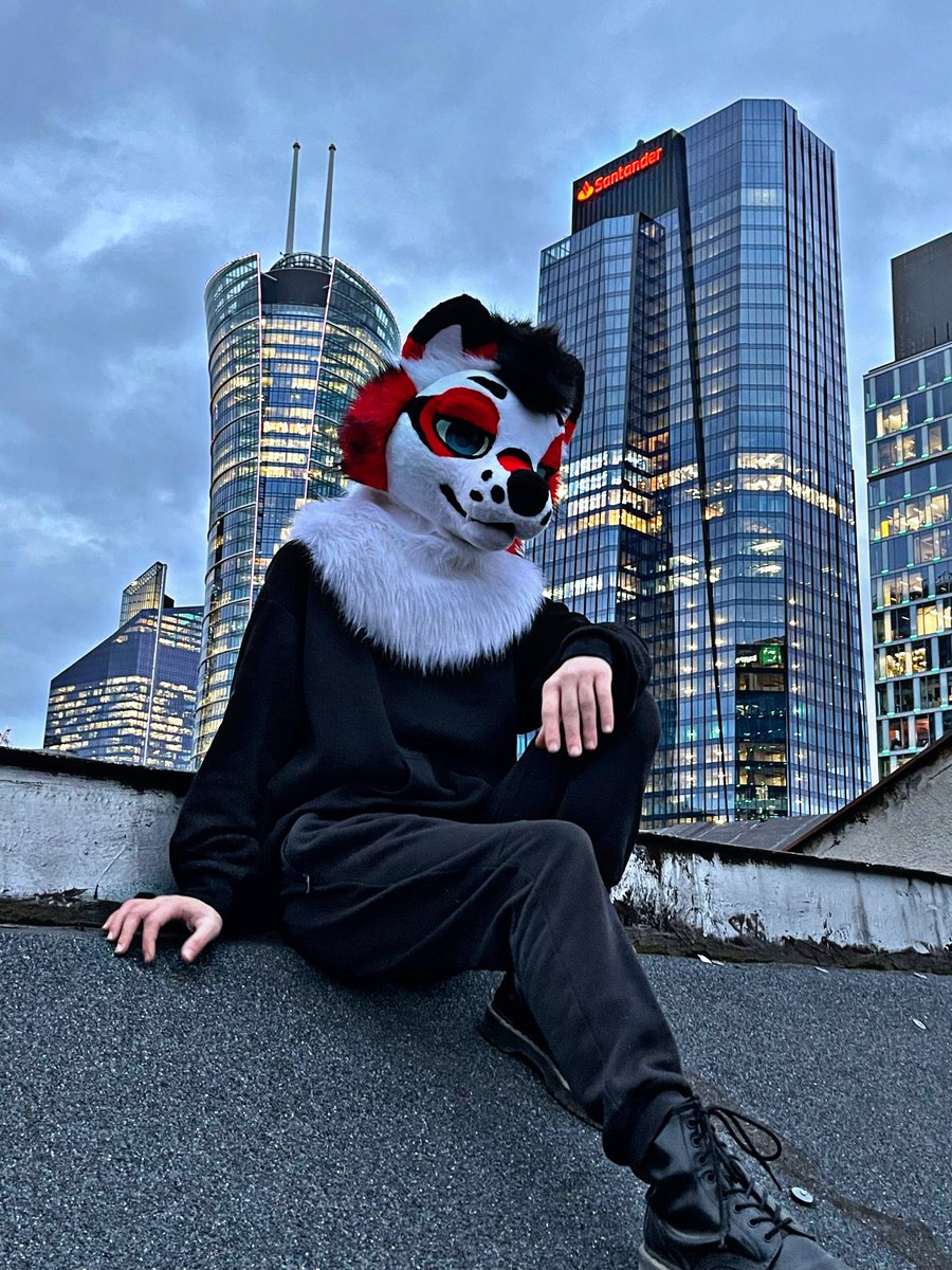 Vibe on the roof of a Warsaw tenement house, the best city in Europe 🔥
#FursuitEveryday