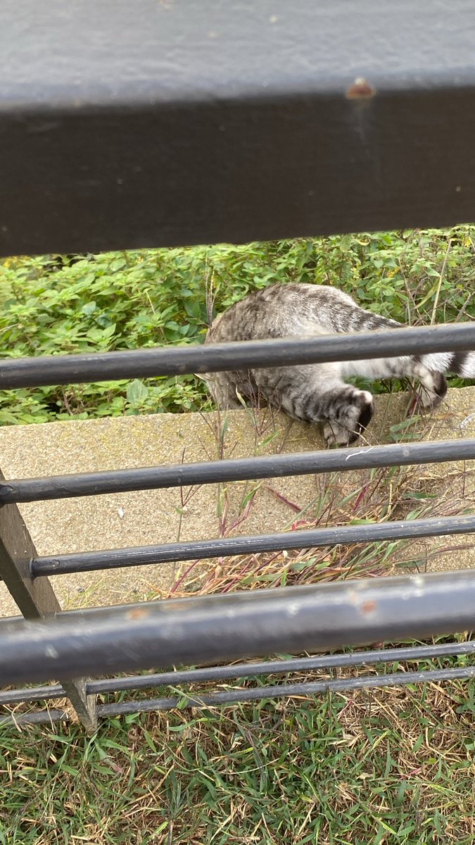 예슬이 tweet media