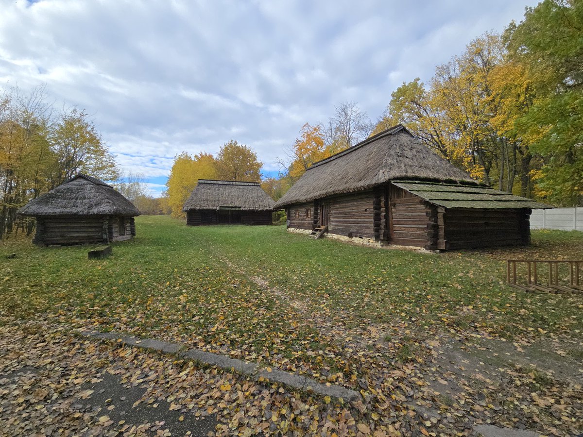 Кітики в Пирогові