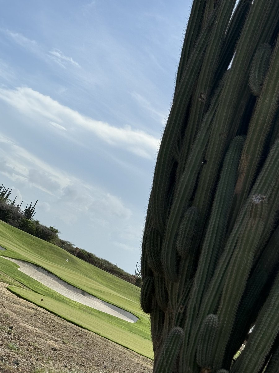 SouthTejas1984's tweet image. #MondayFun