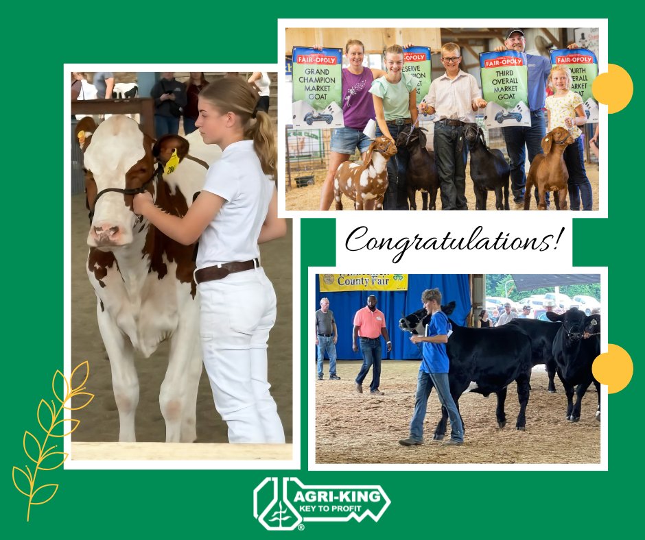 AgriKingInc's tweet image. Congratulations to all our Agri-King clients and their families who had prize winning livestock this summer!

#LivestockNutrition #Fair #KeyToProfit