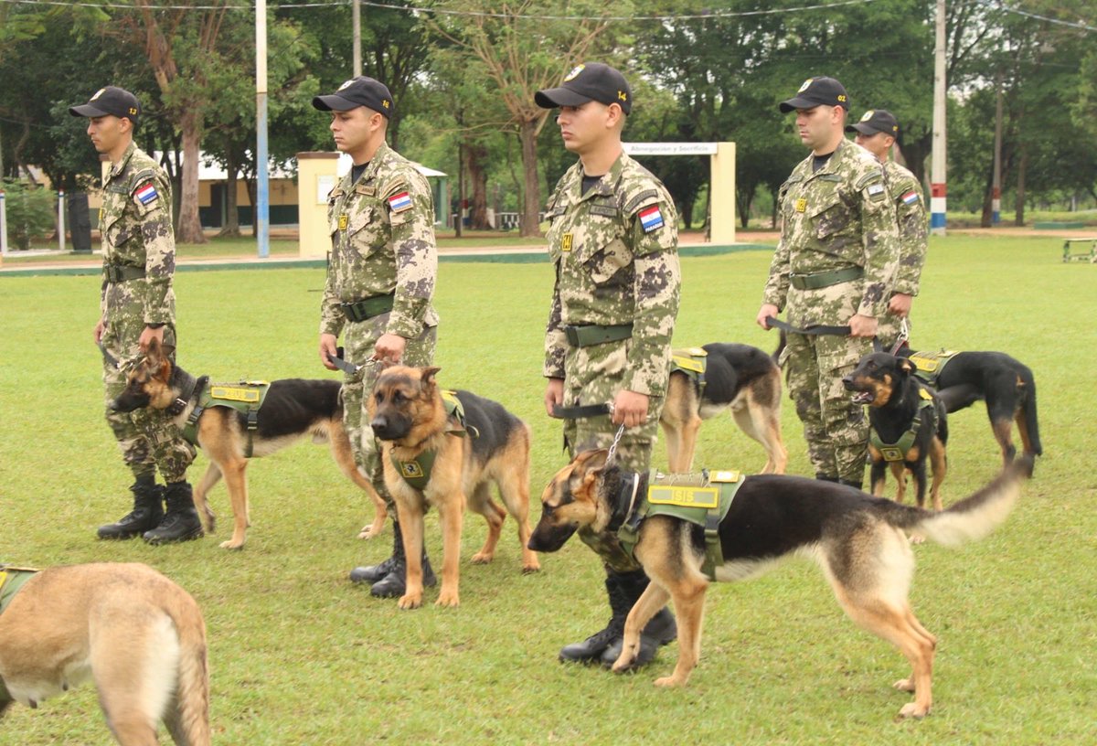py_rep's tweet image. Personal del Regimiento Escolta Presidencial, ha finalizado en la fecha satisfactoriamente el Curso de "Adiestrador Guía de Canes".
🇵🇾 +Info en: facebook.com/share/p/1HTNae…