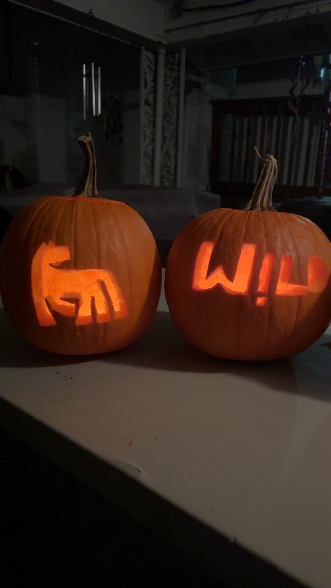 KayleyNeece02's tweet photo. Ofc we had to carve our pumpkins into the W!LD album cover  @russdiemon #russ #Wild https://t.co/YqpdVcL5LZ