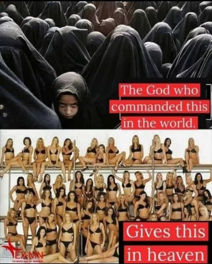 Viralvid_89's tweet image. Lol